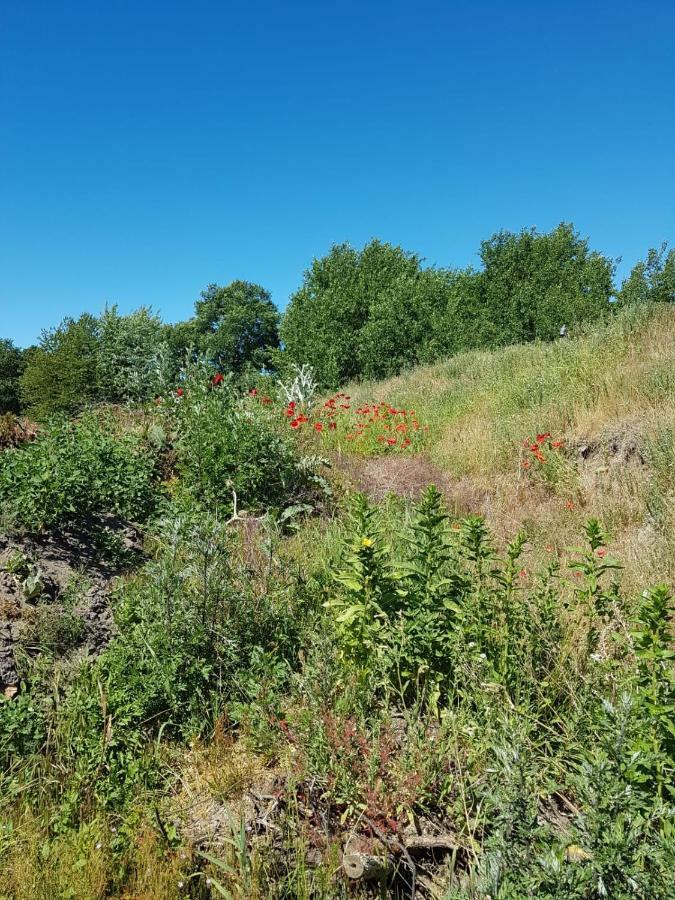 Apartament Urlaub Bei Hauenstein Born Zewnętrze zdjęcie