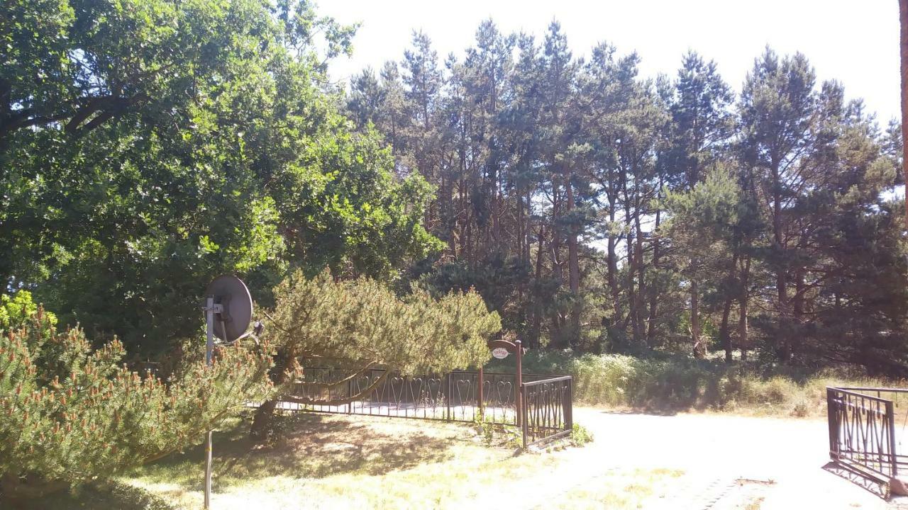 Apartament Urlaub Bei Hauenstein Born Zewnętrze zdjęcie