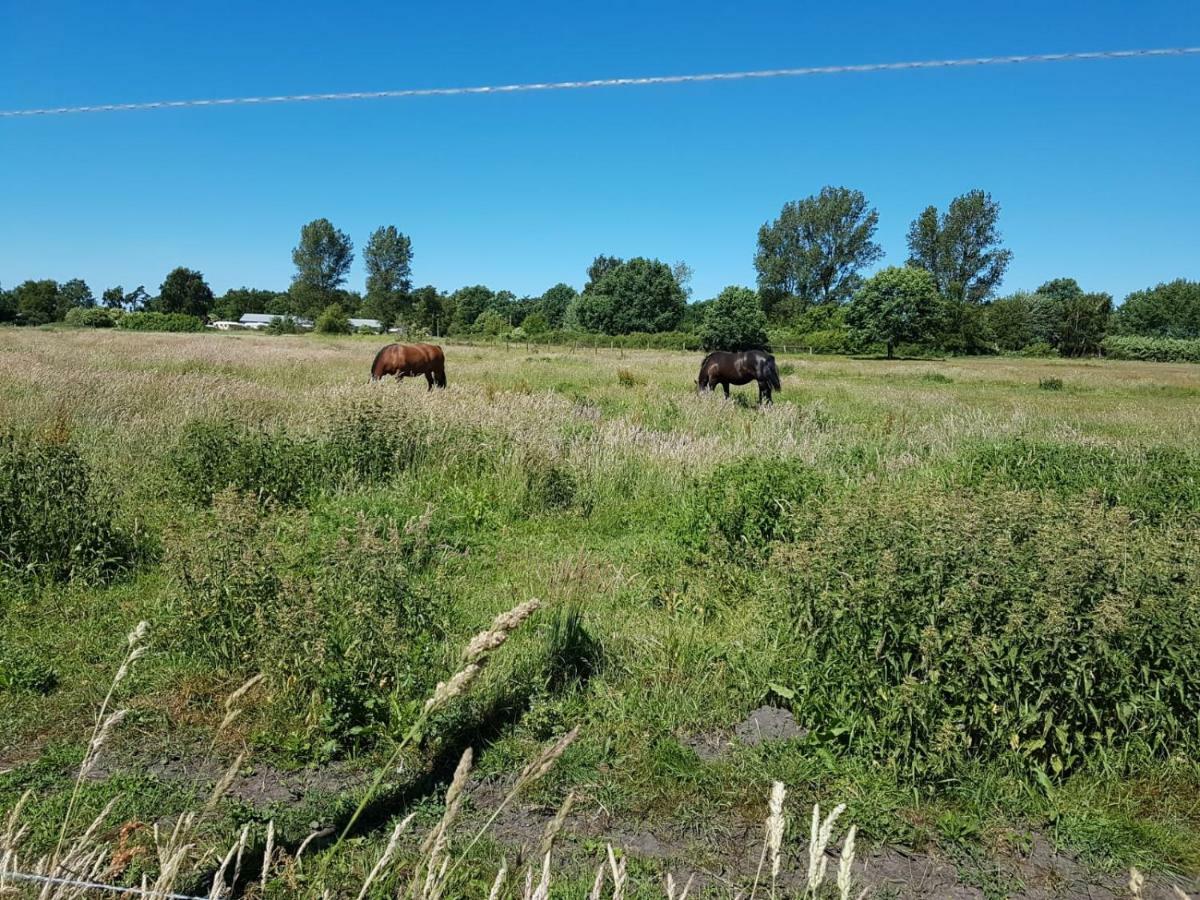 Apartament Urlaub Bei Hauenstein Born Zewnętrze zdjęcie