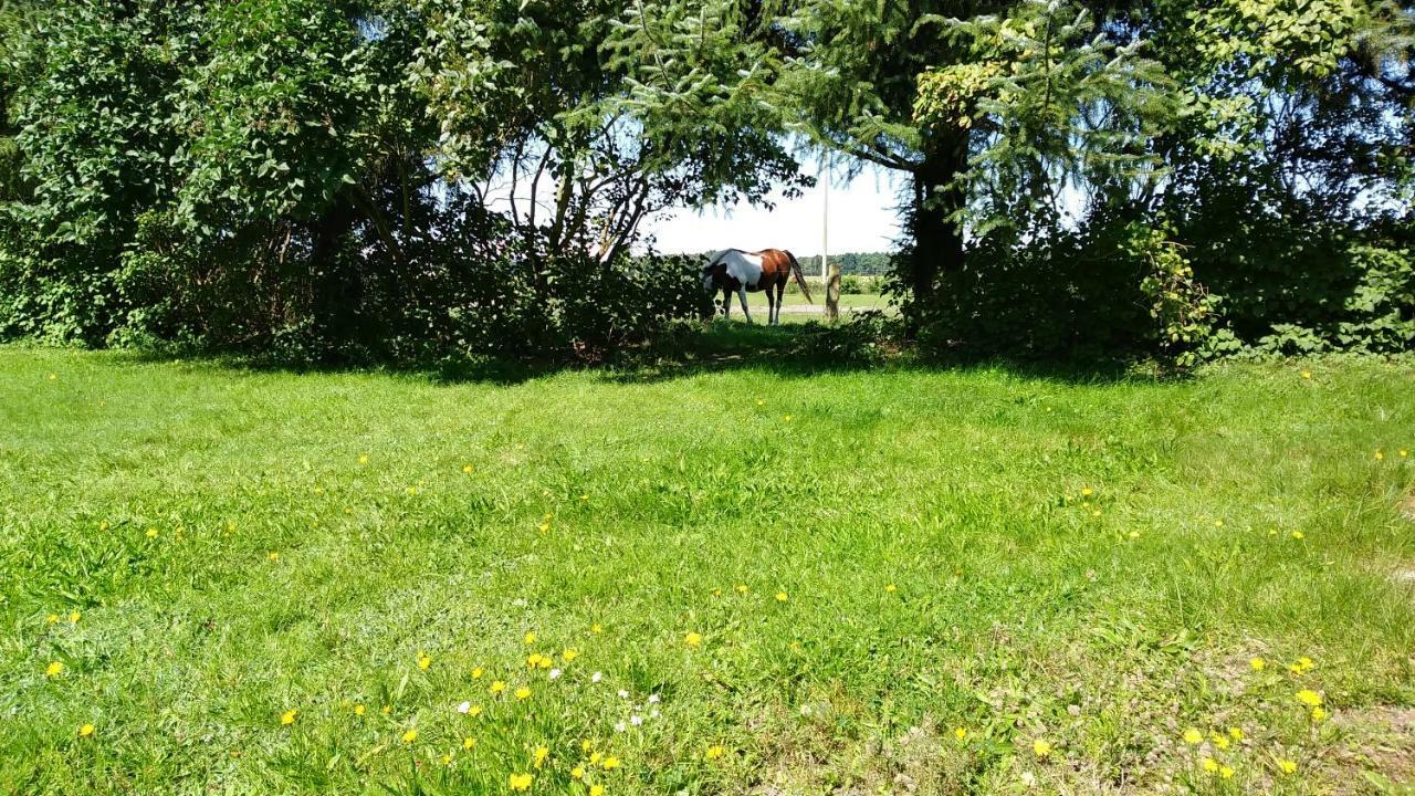 Apartament Urlaub Bei Hauenstein Born Zewnętrze zdjęcie